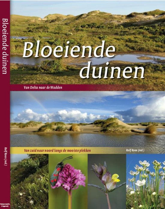 Bloeiende duinen | Rolf Roos 9789082433647 Rolf Roos Natuurmedia   Natuurgidsen, Wandelgidsen Nederland