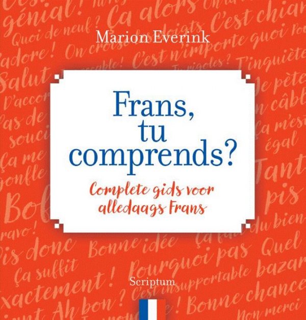 Frans, tu comprends? | taalgids 9789463190732 Marion Everink Scriptum   Taalgidsen en Woordenboeken Frankrijk