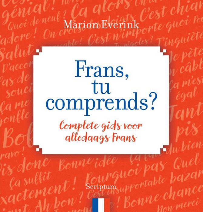 Frans, tu comprends? | taalgids 9789463190732 Marion Everink Scriptum   Taalgidsen en Woordenboeken Frankrijk