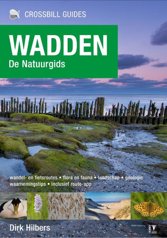 Crossbill Guide Wadden - de natuurgids | Dirk Hilbers * 9789491648151  Crossbill Guides   Geen categorie 